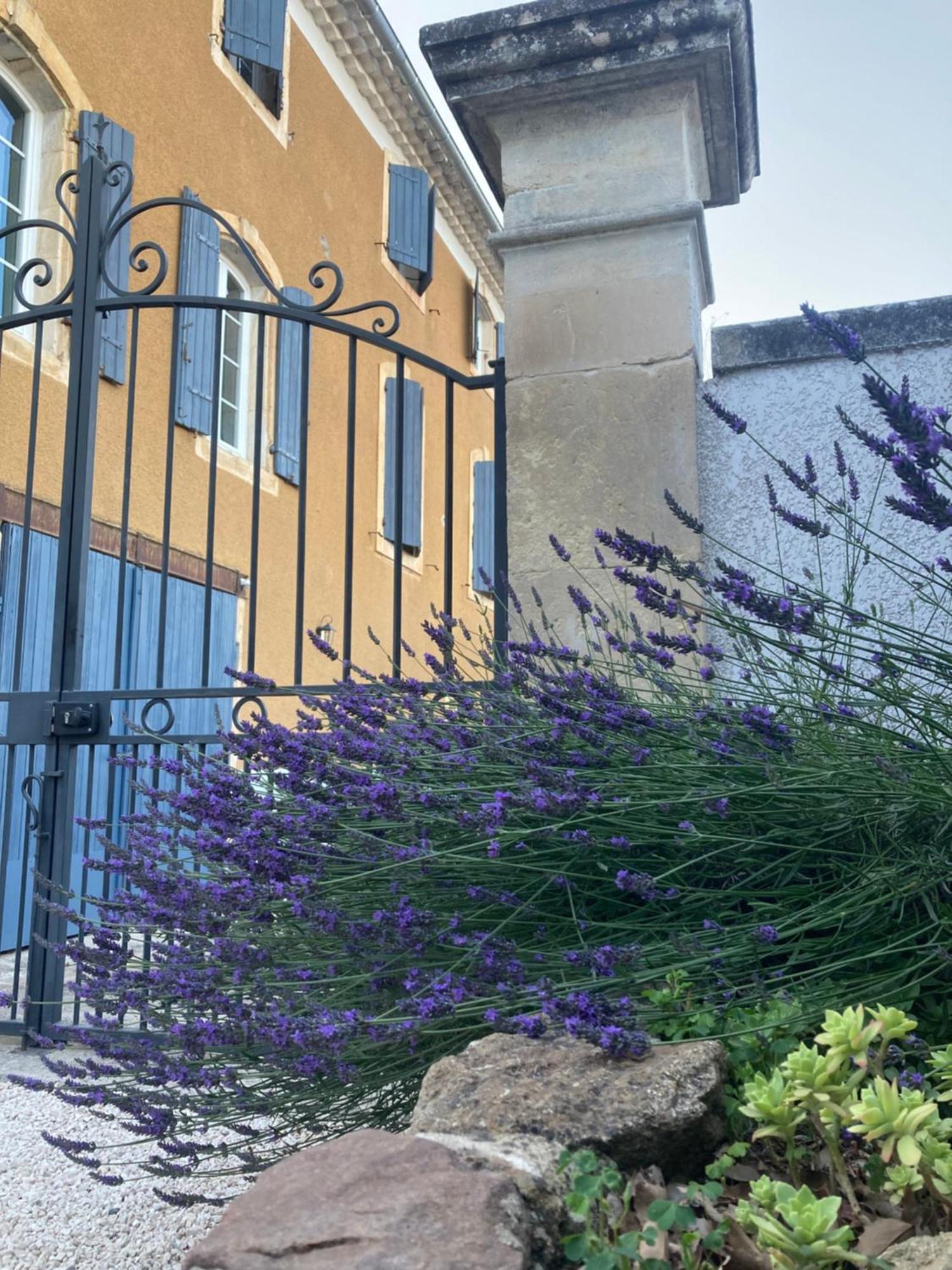 Bed and Breakfast Domaine Forvent Saint-Julien-de-Peyrolas Экстерьер фото